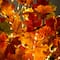 4ft. Pre-Lit Shades of Autumn Maple Artificial Fall Tree with 180 Warm White LED Lights